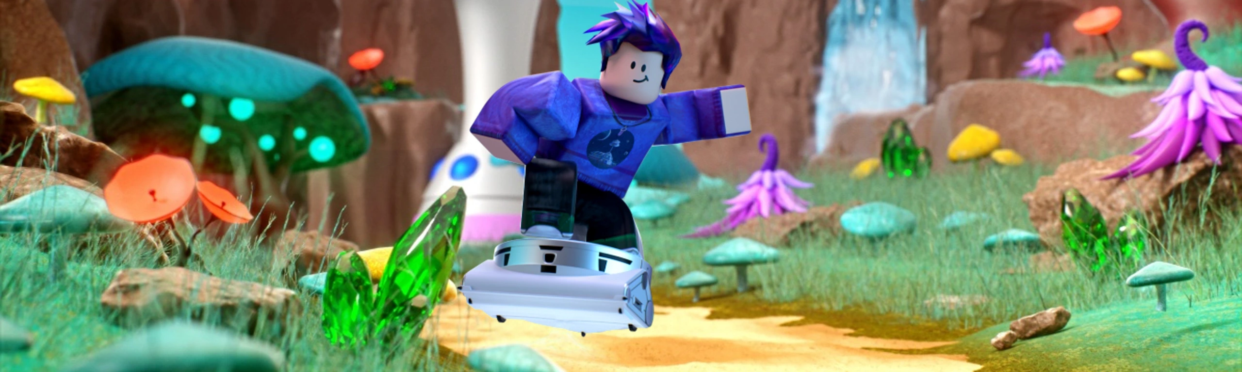 Roblox 100 EUR FR